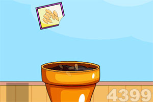 管家婆一码一肖资料大全下载手机版