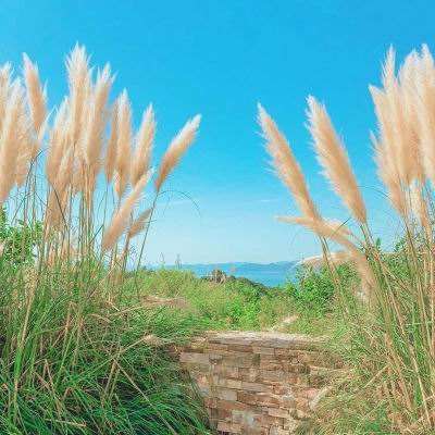 云开平台APP官方全站APP入口手机app下载