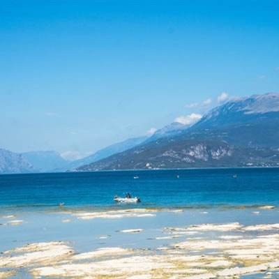 炸金花游戏手机app下载