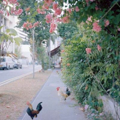 HTH登陆入口网页