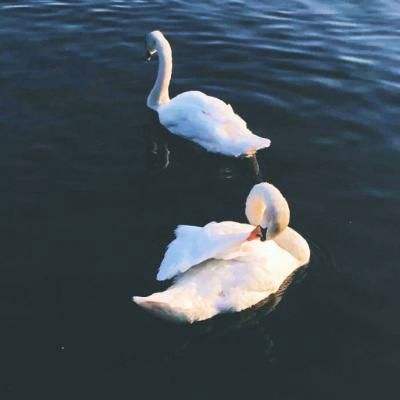 非凡体育APP下载下载手机版