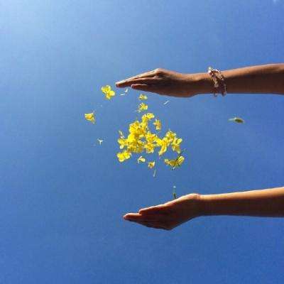 双赢彩票官方网站下载手机版