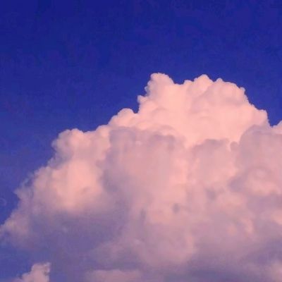 完美体育·app下载