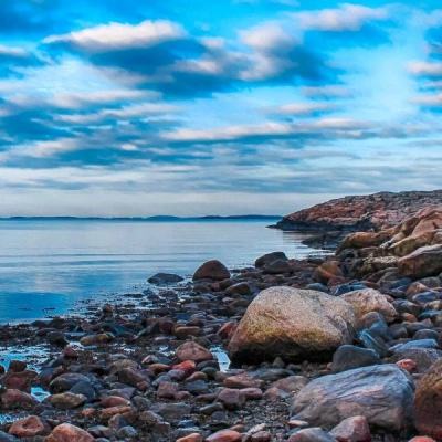 江南APP官方网站登录