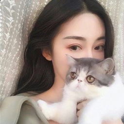 澳门新葡澳京下载手机版