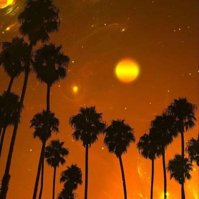 金沙集团186CC下载手机版