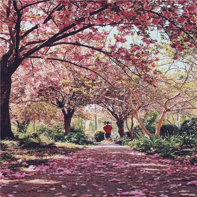 365体育官方唯一入口