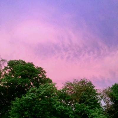 安博体育的最新版本下载手机版