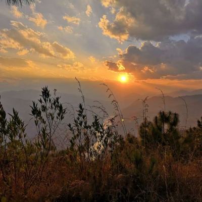 华体会登录(官方)APP下载下载手机版