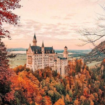 诺亚体育app下载安装手机版最新