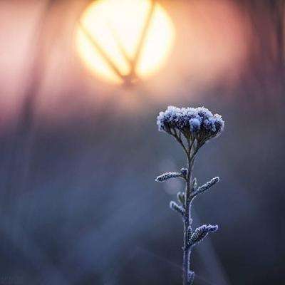 江南体育手机app下载截图