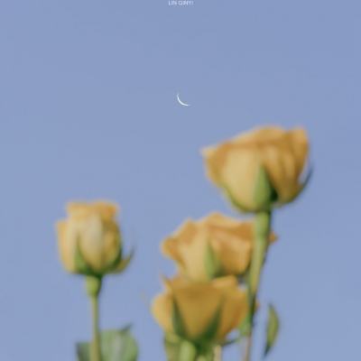 开元棋脾26888官方版最新版