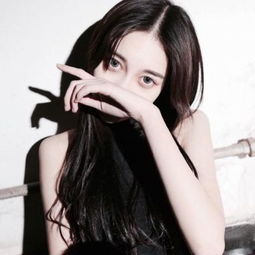 BOB·体育APP下载