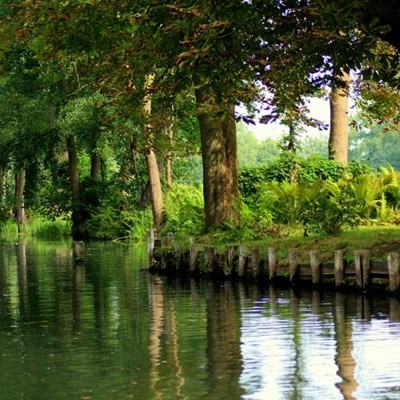 安博体育的最新版本手机app下载截图