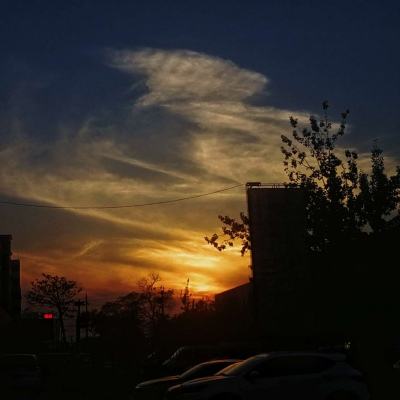 bte365真正的网站下载手机版