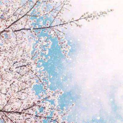 kok官方体育app下载