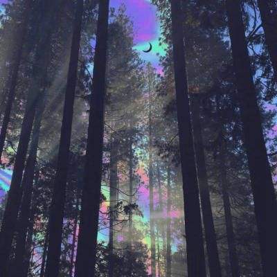 盈彩网下载手机版