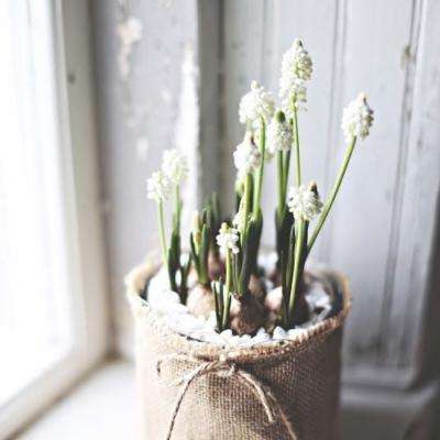 乐鱼游戏app在线登录