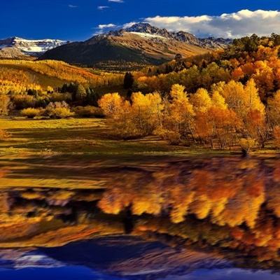 fb体育官方网站入口