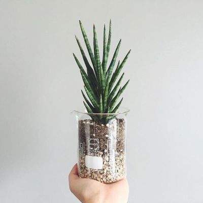 ag娱乐平台游戏中心