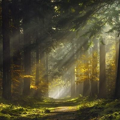 乐鱼app登录入口