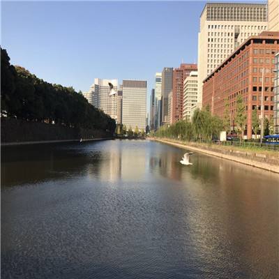 大发黄金版888下载手机app下载