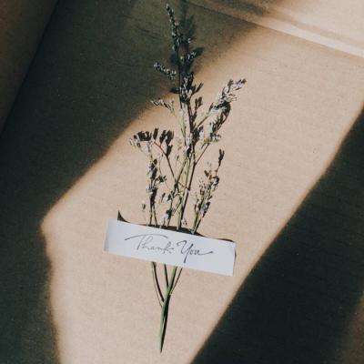 双赢彩票官方下载