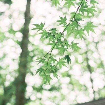 bet体育365投注官网