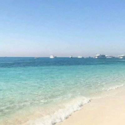 完美电竞平台下载手机版