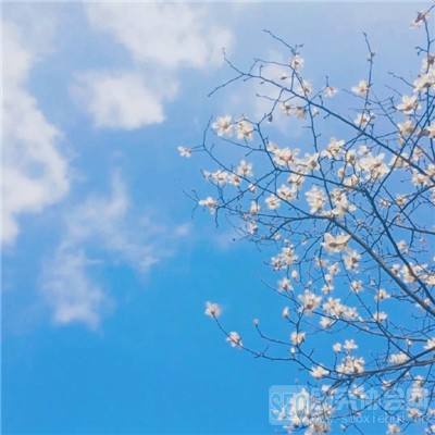 彩票平台wellcome