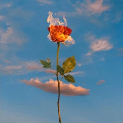 威尼斯欢乐娱人棋牌手机app下载截图