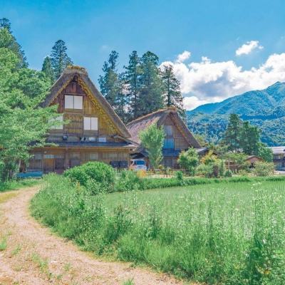 江南平台app下载安装app下载