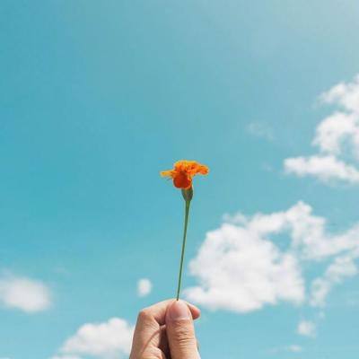 hth会体会官方网页版app下载