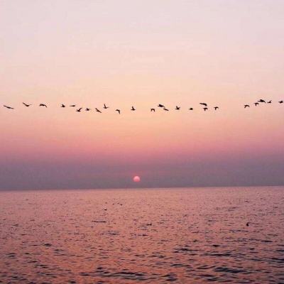 半岛官网入口网页版下载手机版