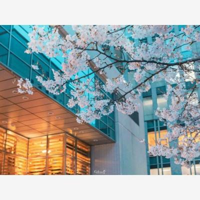 安博体育·(中国)官方网站手机app下载截图