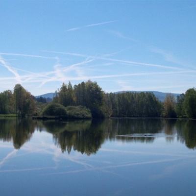 江南全站登录app下载