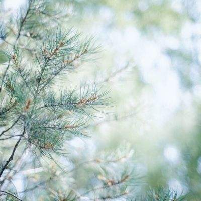 香港最准资料免费公开app下载