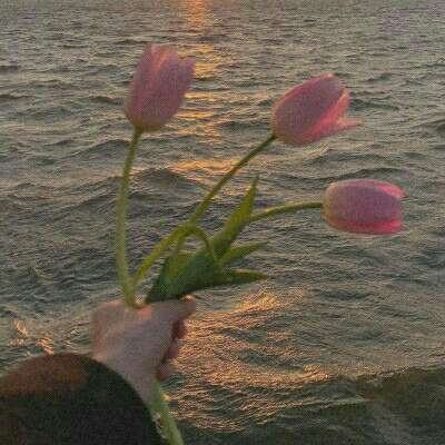 金星棋牌手机app下载