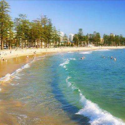 亚洲杯冠亚军竞猜