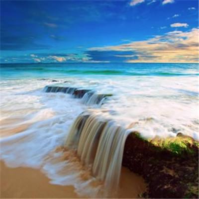 bet体育365官网正规app下载