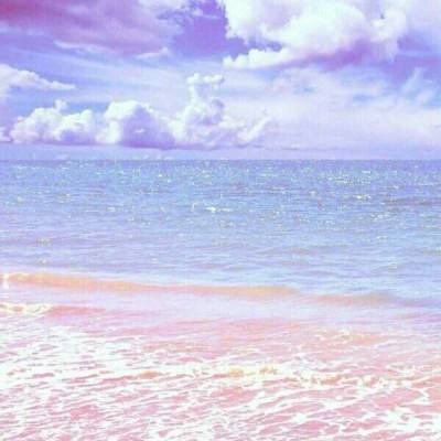 押注篮球的app下载手机版