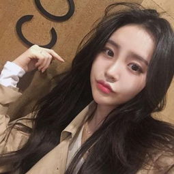 8868体育官方版最新版