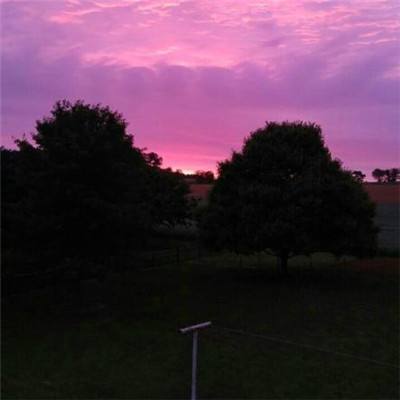 亚搏官网 官网登录下载