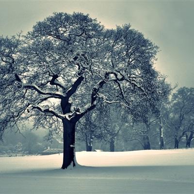 半岛app下载入口