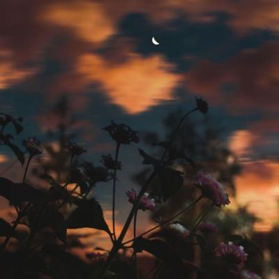 beat365手机版官方网站下载手机版