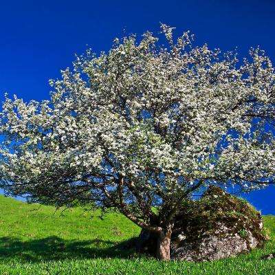 Kaiyun(云开)体育App