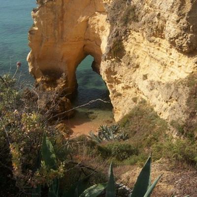 足球竞彩app下载手机版