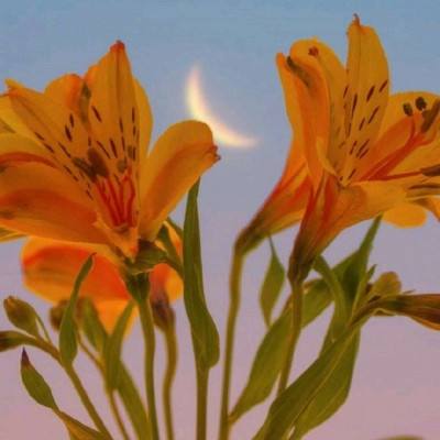 星空体育app下载下载手机版