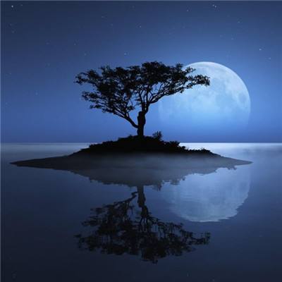 双赢彩票官方网站app下载