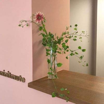 皇冠体育手机版软件